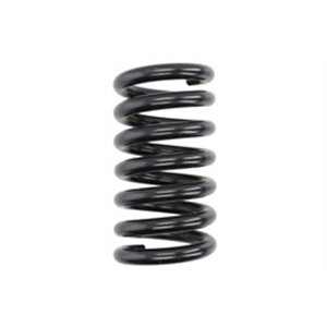 LS4027568  Front axle coil spring LESJÖFORS 