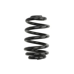 4208459 Suspension Spring LESJÖFORS - Top1autovaruosad