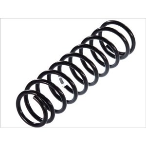 S00004MT  Front axle coil spring MAGNUM TECHNOLOGY 