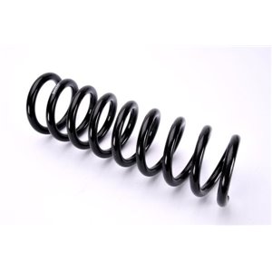 SM090MT Suspension Spring Magnum Technology - Top1autovaruosad