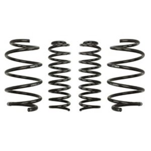 E10-75-003-01-22  Lowering springs / set EIBACH 