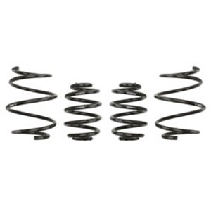 E10-20-010-01-22  Lowering springs / set EIBACH 