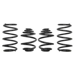 E10-65-002-01-22  Lowering springs / set EIBACH 