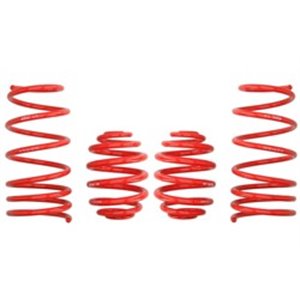 E20-75-001-02-22  Lowering springs   set  - Top1autovaruosad