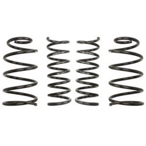 E10-35-016-01-22  Lowering springs / set EIBACH 