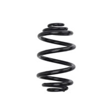 RJ6189 Suspension Spring KYB