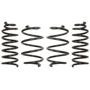 E10-55-016-01-22  Lowering springs / set EIBACH 