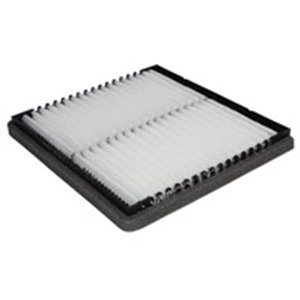 E1955LI Filter, cabin air HENGST FILTER - Top1autovaruosad