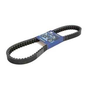 IP000497 Strap belt  width  30mm  thickne - Top1autovaruosad