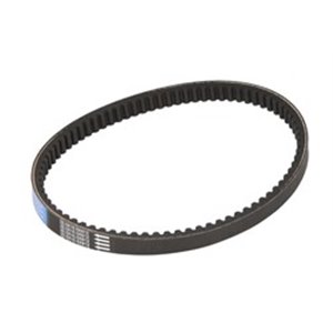 S410000350024 Strap belt  width  22 5mm   - Top1autovaruosad