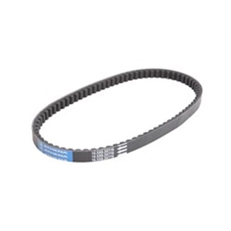 S410000350035 Strap/belt (width: 16,5mm, thickness: 8,3mm, length: 778mm) fits:
