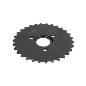 JTR255 30 Rear gear steel  chain type  42 - Top1autovaruosad