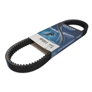 DAYHPX5013  Driving belt DAYCO 