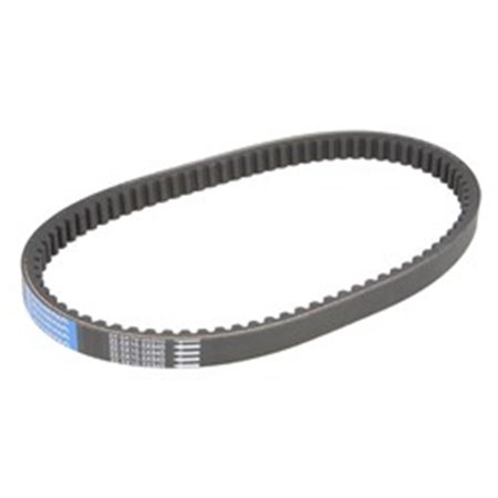 S410000350019 Strap/belt (width: 22,5mm, thickness: 10,5mm, length: 845mm) fits
