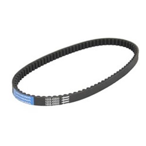 S410000350016 Strap belt  width  18mm  th - Top1autovaruosad