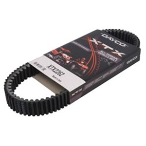 DAYXTX2262 Drive belt - Top1autovaruosad