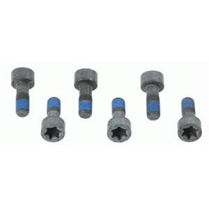 1874 000 041 Screw Set, flywheel SACHS - Top1autovaruosad