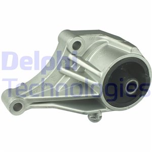 TEM031 Montering, motor DELPHI - Top1autovaruosad