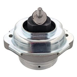 31021 Montering, motor FEBI BILSTEIN - Top1autovaruosad