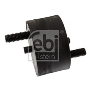 15917 Montering, motor FEBI BILSTEIN - Top1autovaruosad