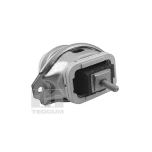 TED44341 Montering, motor TEDGUM - Top1autovaruosad