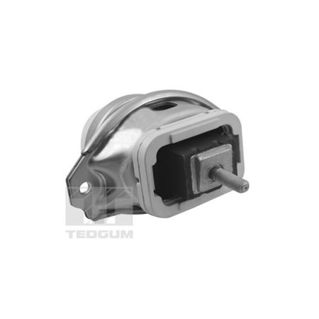 TED44341 Mounting, engine TEDGUM