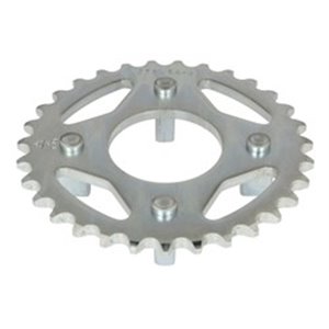 JTR256 31 Rear gear steel  chain type  42 - Top1autovaruosad