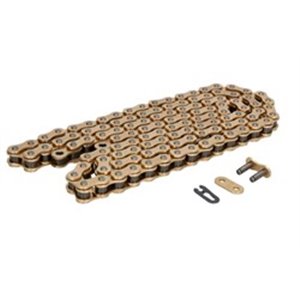 DID520ERT3G G116 Chain 520 ERT3 strengthe - Top1autovaruosad