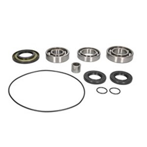 AB25-2106 Differential bearing and gasket kit rear