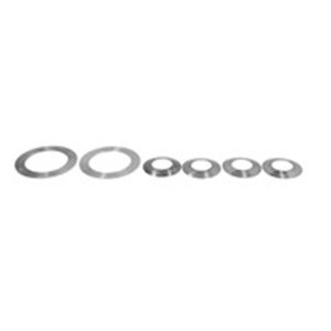 298555 Differential assembly repair kit fits: IVECO