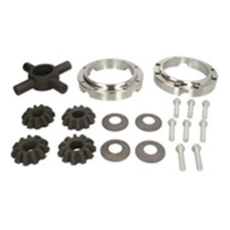 298334 Rear axle tube repair kit, satellite, gasket and ring gears (diff