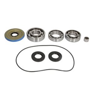 AB25-2117 Differential bearing and gasket kit front