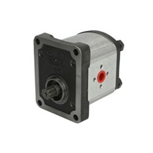 1PN168ABS11 420 Hydraulic toothed pump on - Top1autovaruosad