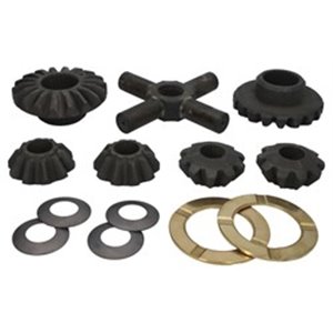 198948 Rear axle tube repair kit, satellite, gasket and ring gears (for 