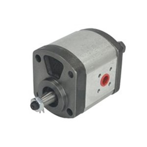 1PN168AJT3/465 Hydraulic toothed pump one 16,8cm³/rev