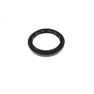 CO01033971B Differential seal gasket  85x - Top1autovaruosad