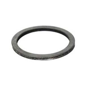 269754 Adjuster washer thickness 4,8mm MAN; MERCEDES H7 13120; H7 16120;