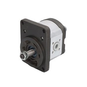 R918C00124 Hydraulic toothed pump