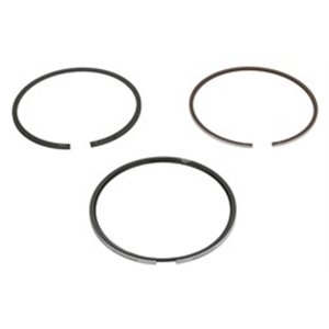 120050003800 79,5 (STD) Piston ring set fits: AUDI 100 C3, 80 B3, 80 B4, A1, A