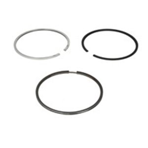 800071110000 Piston rings (102mm (STD) 3 2,385 4) fits: IVECO fits: DAF CF 65,