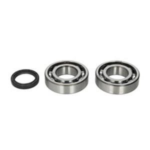 AB24-1081 Crankshaft bearings set with gaskets fits: KAWASAKI KX; SUZUKI RM