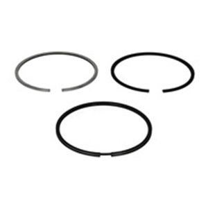 800071110050 Piston rings (102,5mm (+0,50) 3 2,385 4) fits: IVECO fits: DAF CF