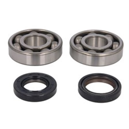 P400485444104 Crankshaft main bearing