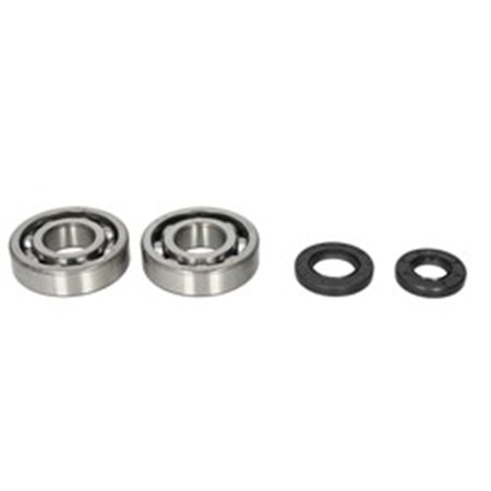 AB24-1010 Crankshaft bearings set with gaskets fits: KAWASAKI KDX, KX 250 1
