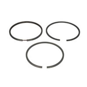 800035510000 Piston rings (98,48 STD 2,39 3,16 4,747) fits: MASSEY FERGUSON P