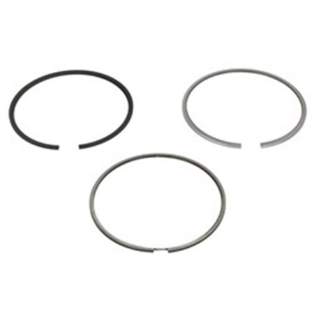 800074610050 Piston Ring Kit KOLBENSCHMIDT