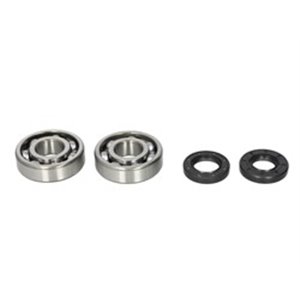AB24-1062 Crankshaft bearings set with ga - Top1autovaruosad