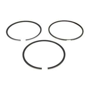 800012810000 Piston rings (102mm (STD) 2,94 3 3) fits: DEUTZ fits: AG CHEM GLE