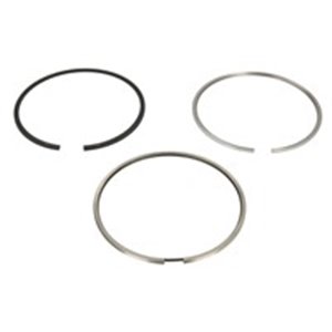 800057310050 Piston rings (101,5mm (+0,50) 2,5 2 3) fits: DEUTZ fits: FENDT 30