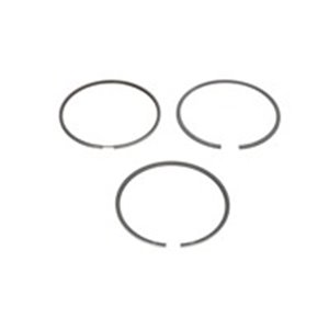 800034710000 Piston rings (102 STD 3 2 2,94) fits: FENDT 203 K FARMER, 203 P F